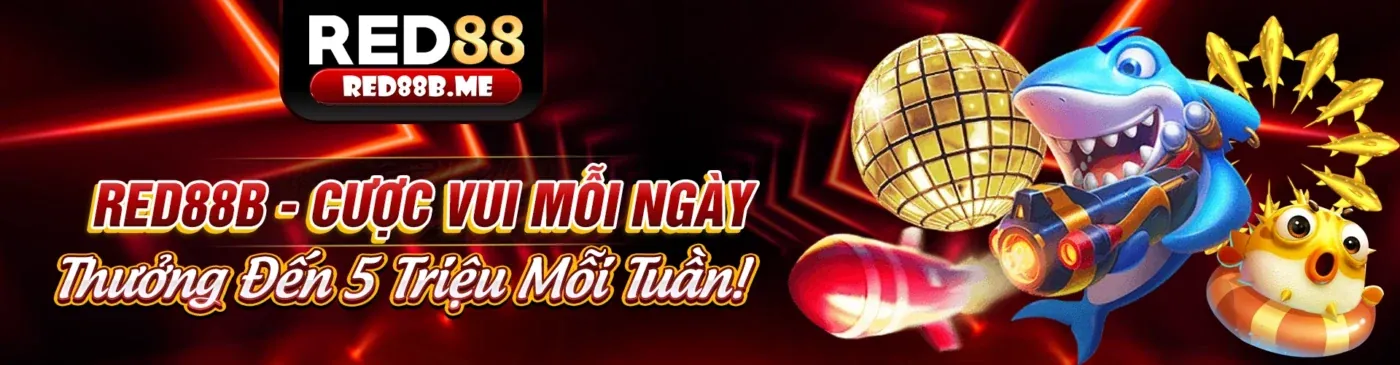 Hướng dẫn Ole77 cho người mới bắt đầu